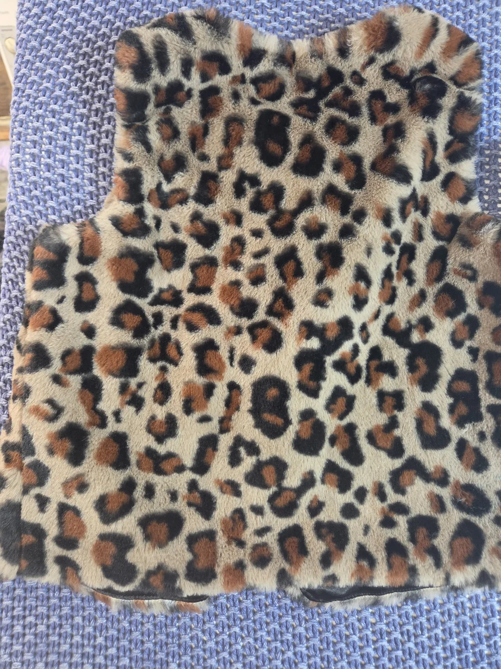 Cat & Jack Faux Fur Leopard Print Vest Crazy 8 Striped Tunic Top